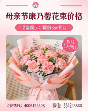 忻州河曲县花店母亲节康乃馨花束