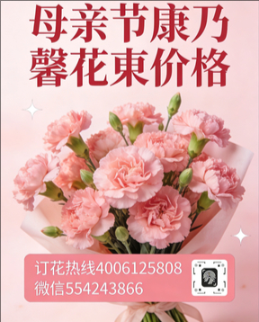 忻州河曲县花店母亲节康乃馨花束